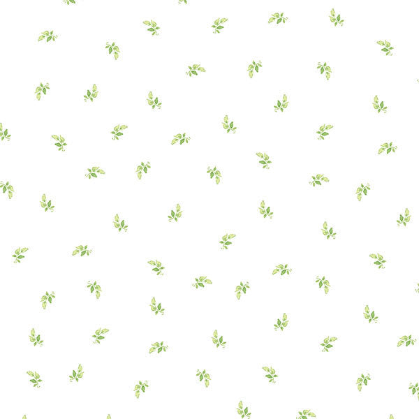 Green Leaf Spot FK26939 Wallpaper