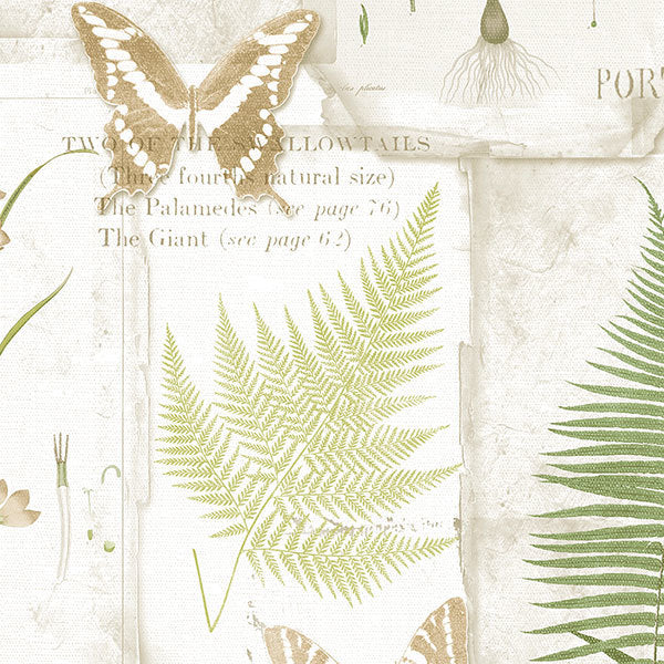 Green White Insects Leaves FK34415 Wallpaper