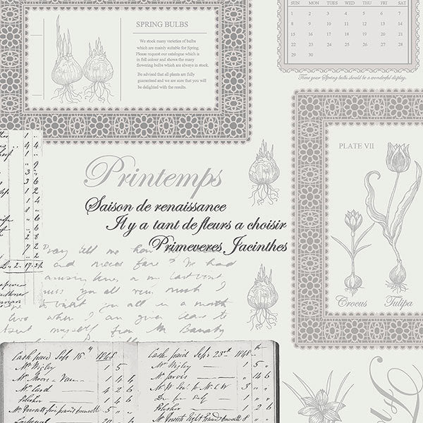 Grey White Spring Bulbs Script FK34417 Wallpaper