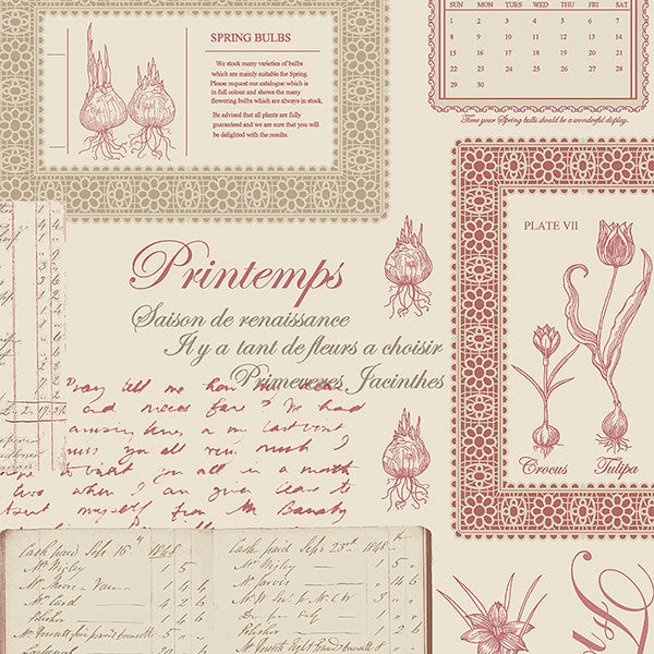 Red Off White Spring Bulbs Script FK34418 Wallpaper