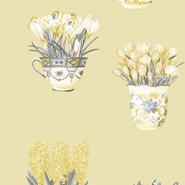 Yellow Flower Pots FK34420 Wallpaper