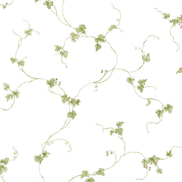 Green White Berries Trail FK34437 Wallpaper
