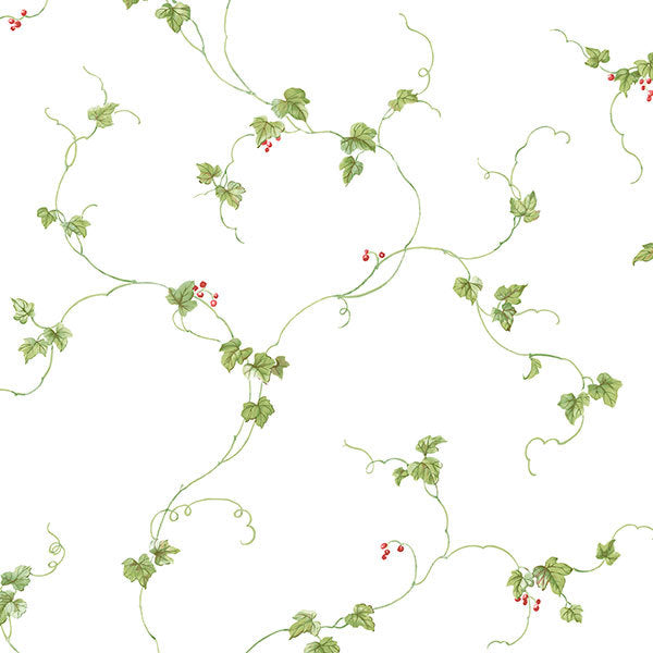 Red Green Berries Trail FK34438 Wallpaper