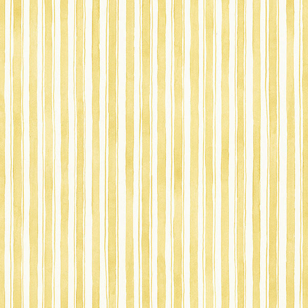 Yellow Cabin Stripe MK25325 Wallpaper