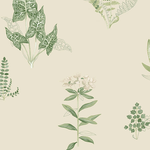 Beige Tropical Plants PA34226 Wallpaper