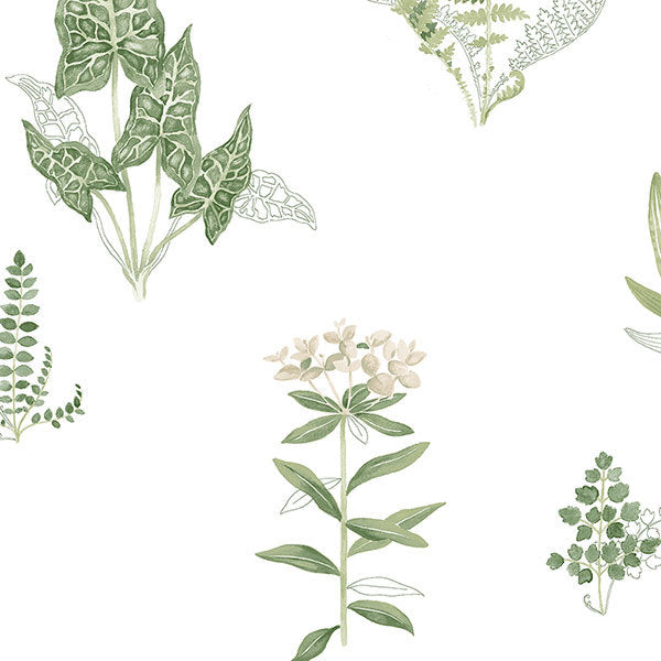 Green White Tropical Plants PA34227 Wallpaper