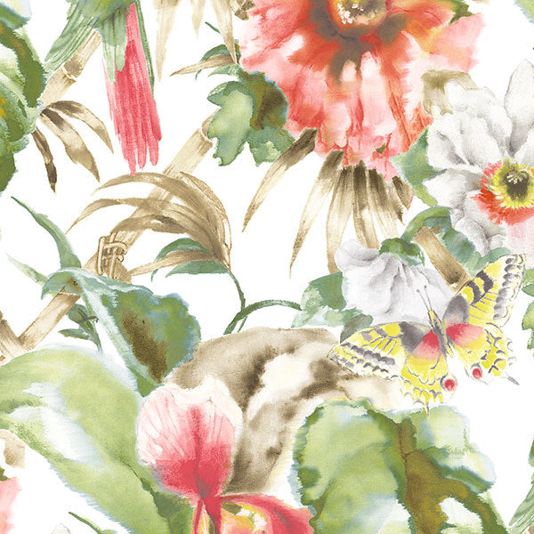 Red Birds of Paradise PA34244 Wallpaper