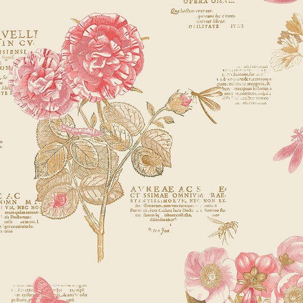 Pink Beige Floral Script PA34246 Wallpaper