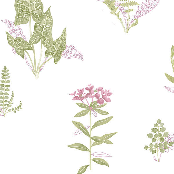 Purple Tropical Plants PA34248 Wallpaper