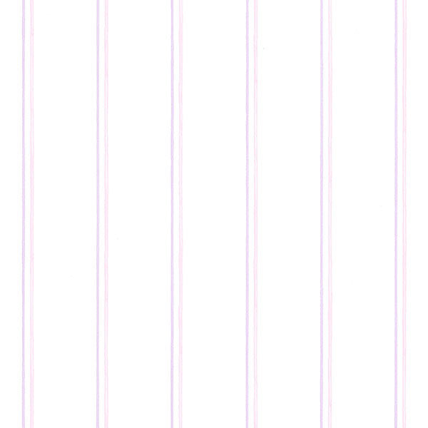 Pink Purple Pinstripe PP27700 Wallpaper