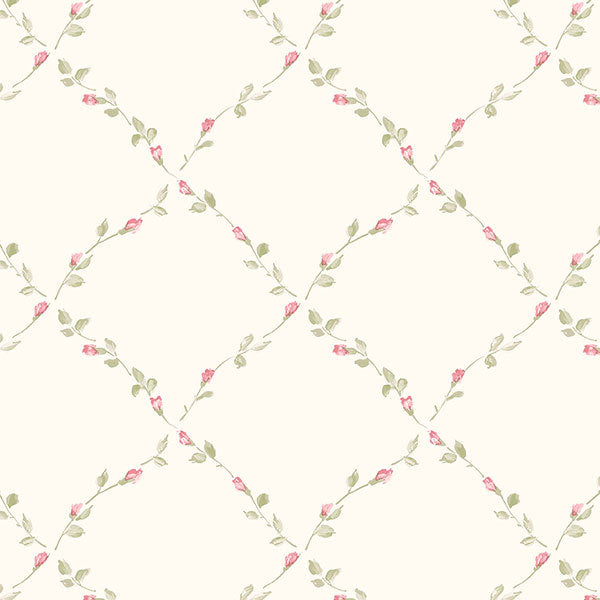 Pink Floral Trellis PP35523 Wallpaper