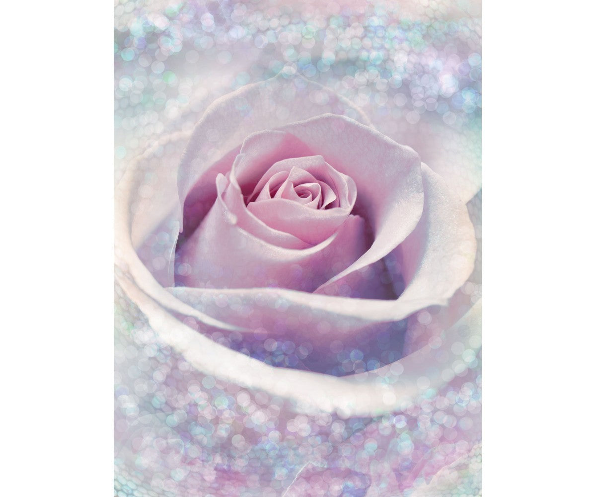 Delicate Rose XXL2-020 Wall Mural