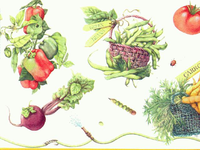 Kitchen Veggie MB4281B Wallpaper Border