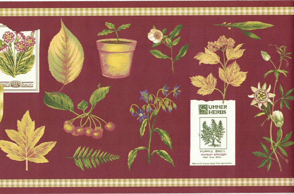 Summer Herbs SPB5713 Wallpaper Border