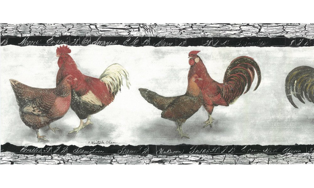 Birds SP76452 Wallpaper Border