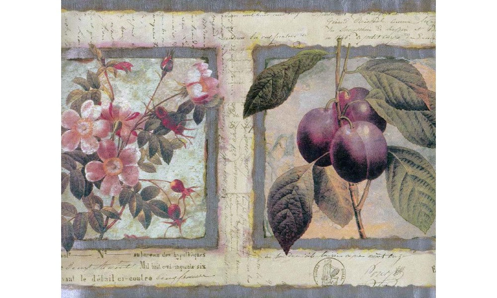 Framed Flowers Fruits on Paper JT7430 Wallpaper Border