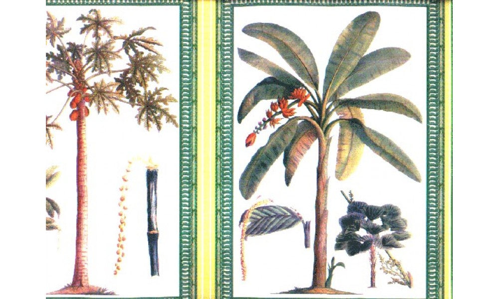Trees b24653 Wallpaper Border