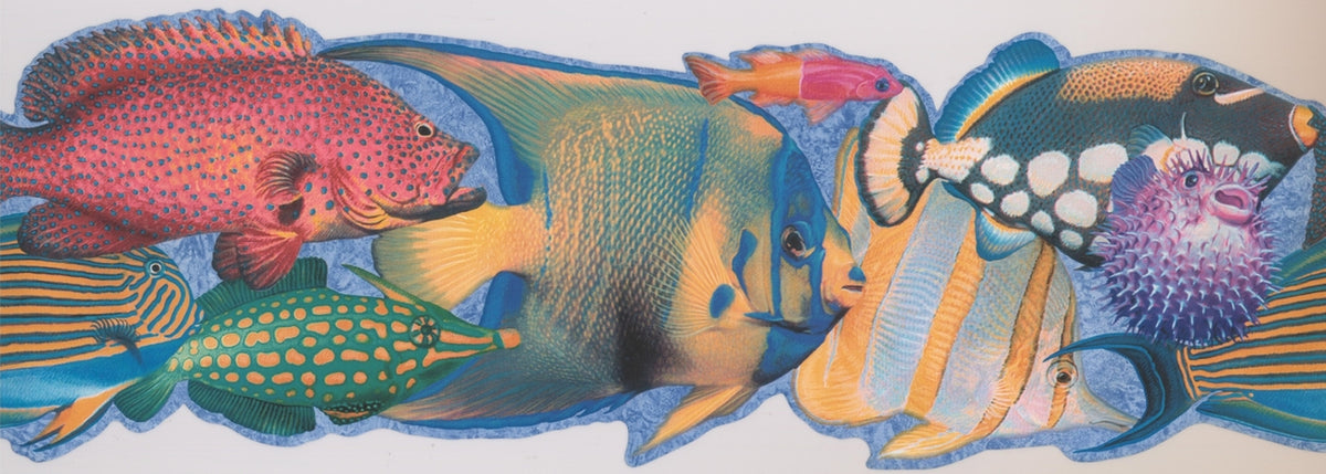 Colorful Fish Blue Kids ISB4041B Wallpaper Border