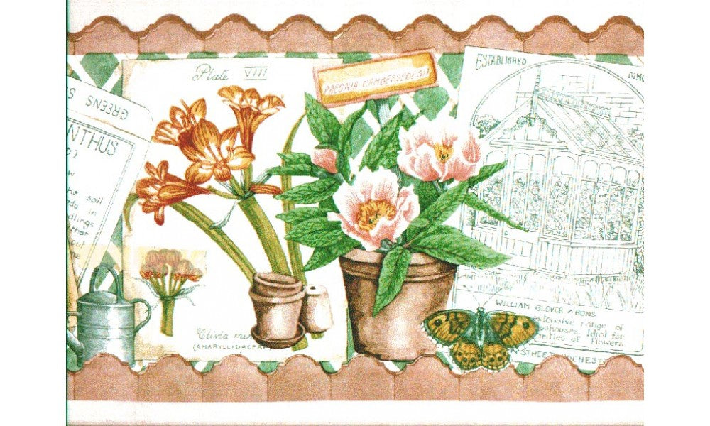 Floral DHO8544 Wallpaper Border