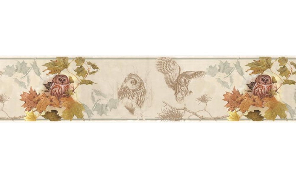 Owl B76351 Wallpaper Border