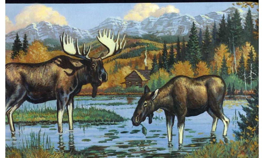 Black Moose WL5607 Wallpaper Border