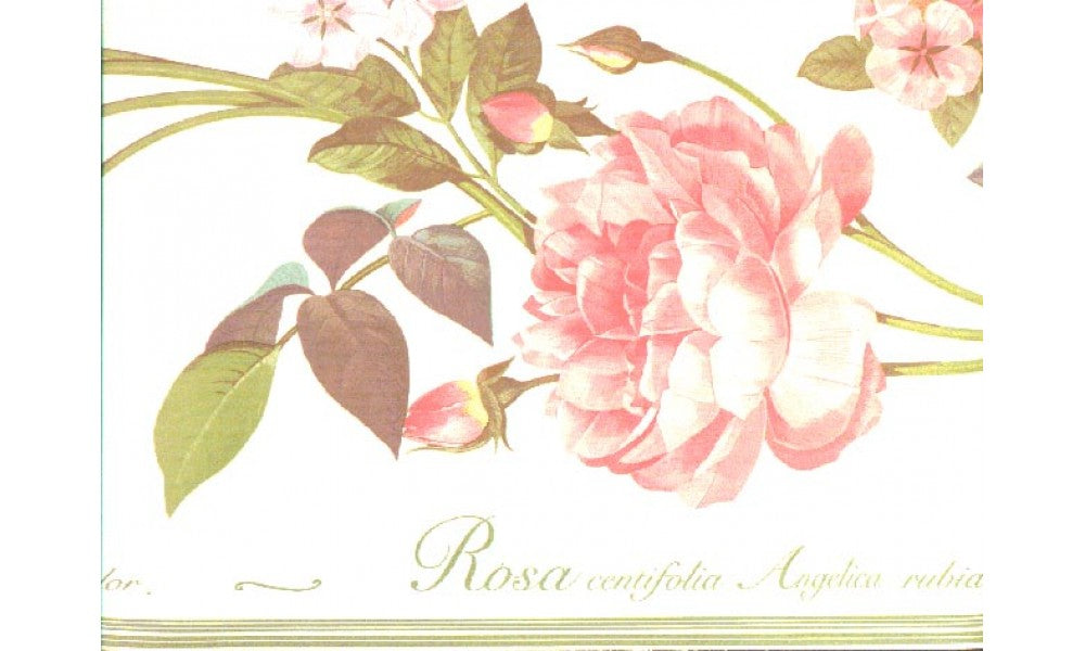 Roses b23554 Wallpaper Border