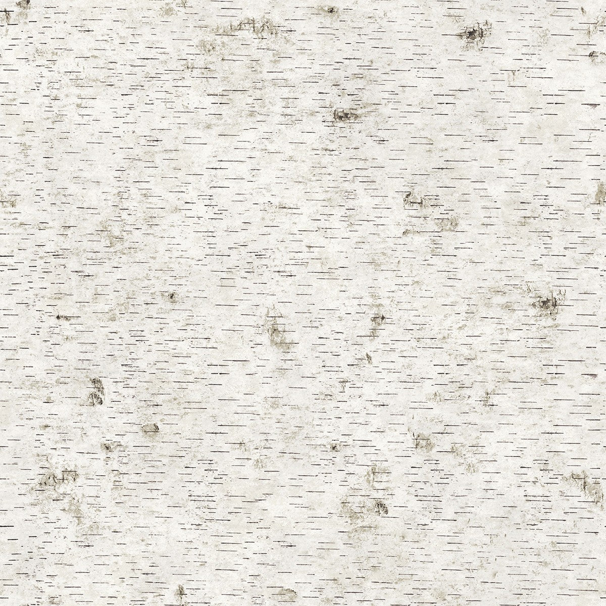 Birchy Barky No Filter Natural Self-Adhesive BI409 Wallpaper