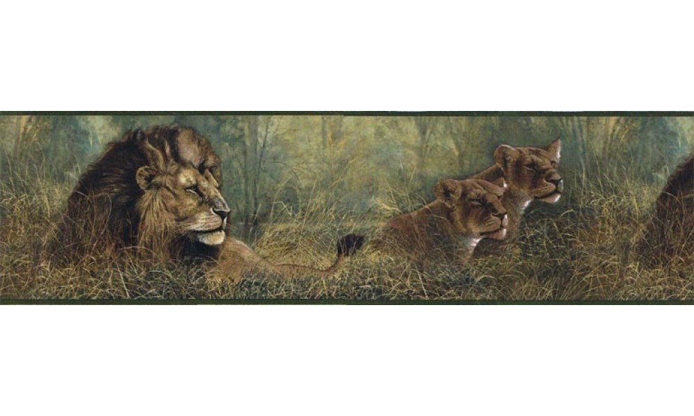Animals B76464 Wallpaper Border