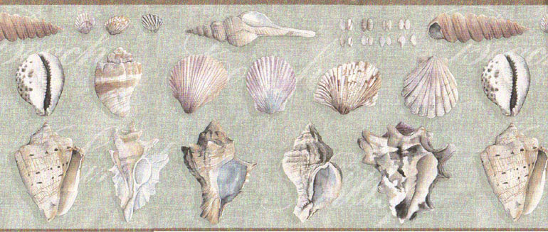 Seashell Seashells B1332029 Wallpaper Border