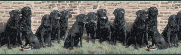 Dog Dogs GL102693 Wallpaper Border