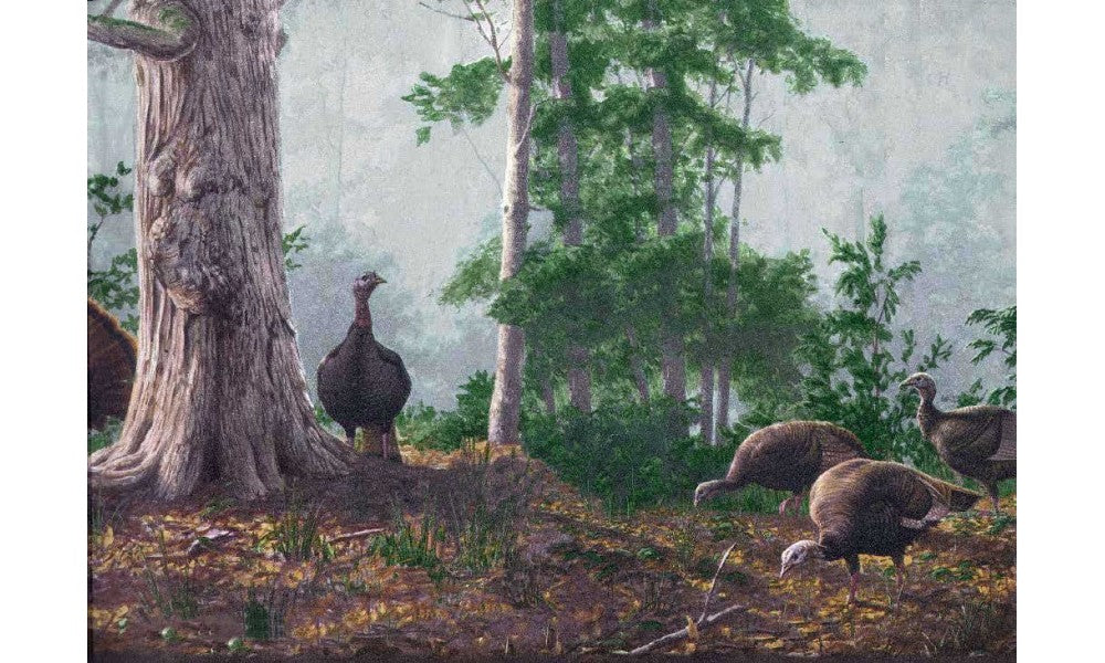 Brown Rainforest Scenery Turkeys HG522 Wallpaper Border