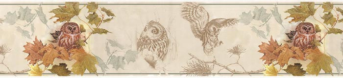 Owls  GL76351 Wallpaper Border