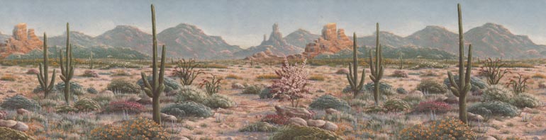 Prareis Desert B103542 Wallpaper Border