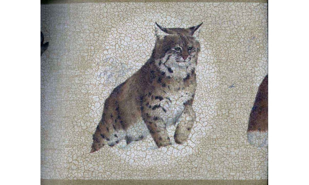 White Brown Cat Sketch RST2382 Wallpaper Border