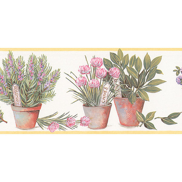 Yellow White Potted Herbs FK78457 Wallpaper Border