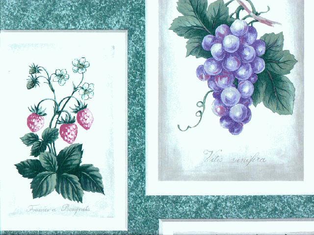 Berry Berries 647BE Wallpaper