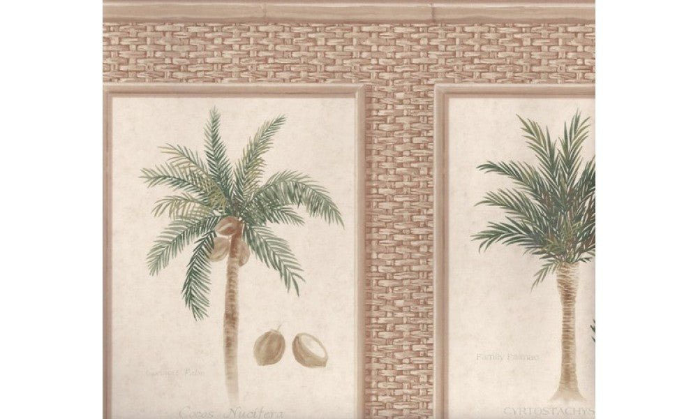 Brown Bamboo Palm Trees TK6245 Wallpaper Border