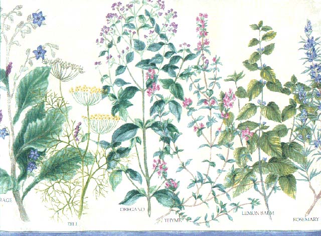 Botanical Herbs WL10850 Wallpaper Border
