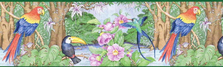 Exotic Tropical Parrots 5802896 Wallpaper Border