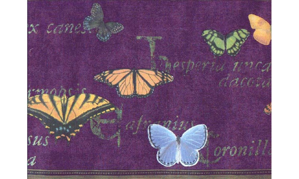 Butterfly b267223 Wallpaper Border