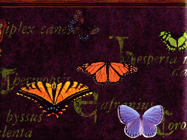 Butterfly Purple P16111 Wallpaper Border