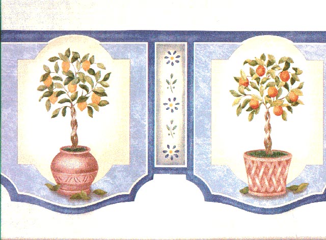 Lemon Mandarin B55043 Wallpaper Border