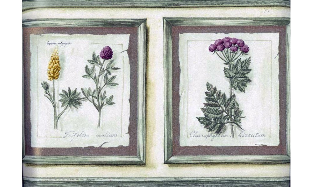 Frame Garden Flowers KS74376 Wallpaper Border