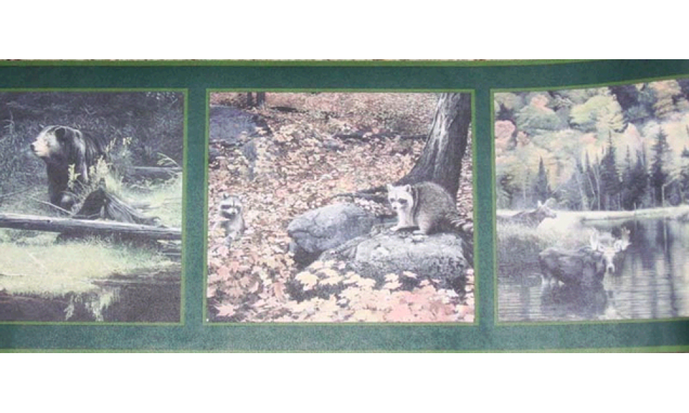 Dark Green Framed Animal Photos CW102785 Wallpaper Border