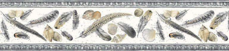 Feather Seashell KS74369 Wallpaper Border