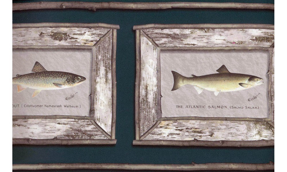 White Framed Atlantic Salmon CW102743 Wallpaper Border
