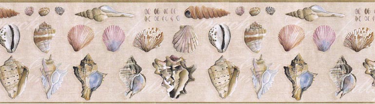 Sea Shells Snails B1332026 Wallpaper Border