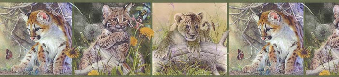 Tiger Lion GL76372 Wallpaper Border
