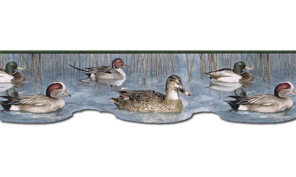 Ducks CJ80018DB Wallpaper Border