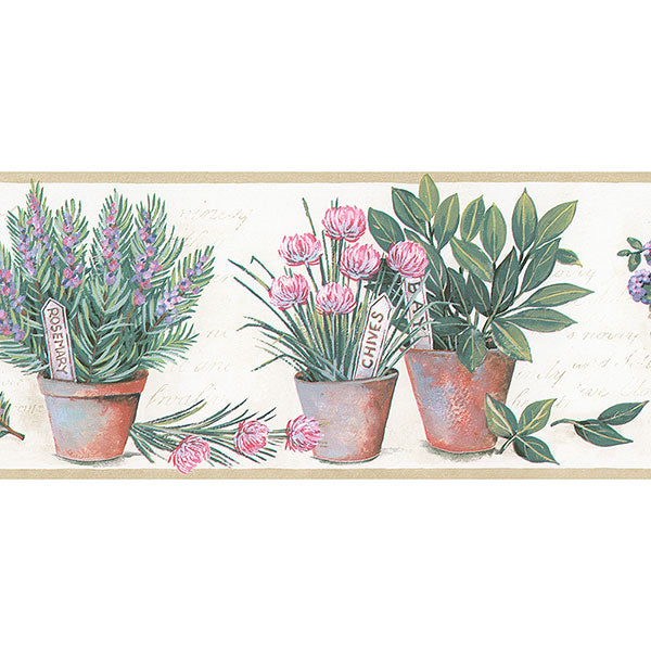 Pink Purple Potted Herbs KV79535 Wallpaper Border